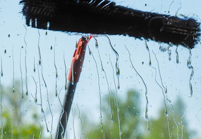 window cleaning